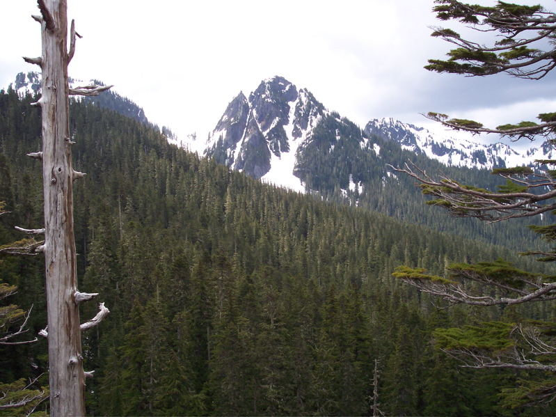 100_0140.JPG