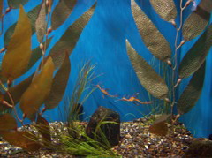 100_0194.JPG