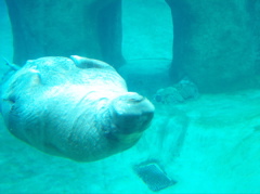 100_0217.JPG