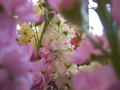 100_0299.JPG