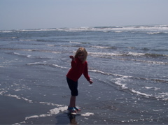 100_0050.JPG