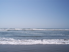 100_0086.JPG