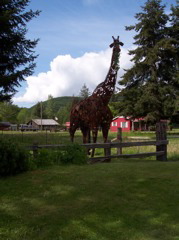 100_0100.JPG