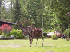 100_0103.JPG