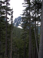 100_0130.JPG