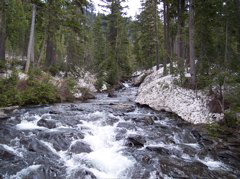 100_0133.JPG