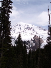 100_0145.JPG