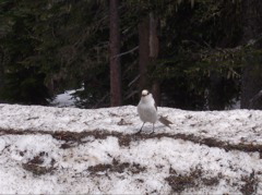 100_0147.JPG