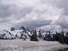100_0154.JPG
