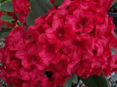 100_0174.JPG