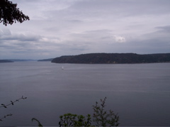 100_0175.JPG