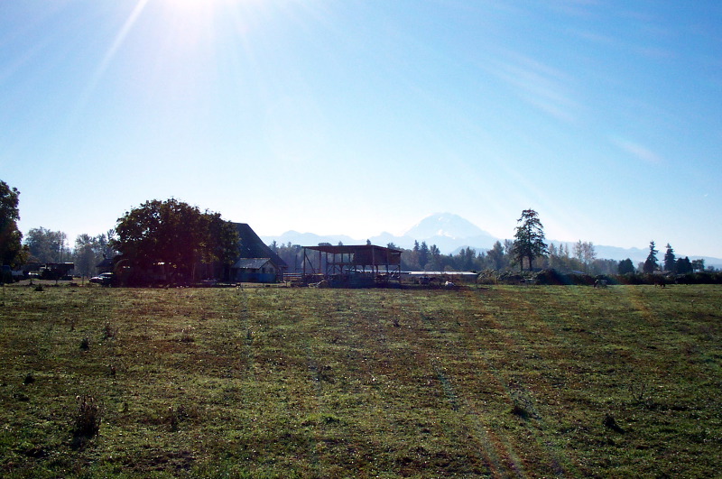 Morning Sun and Rainier