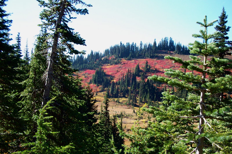 Red hills