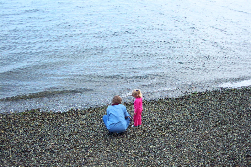 Beach rocks