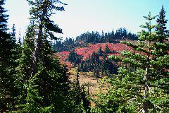 Red hills