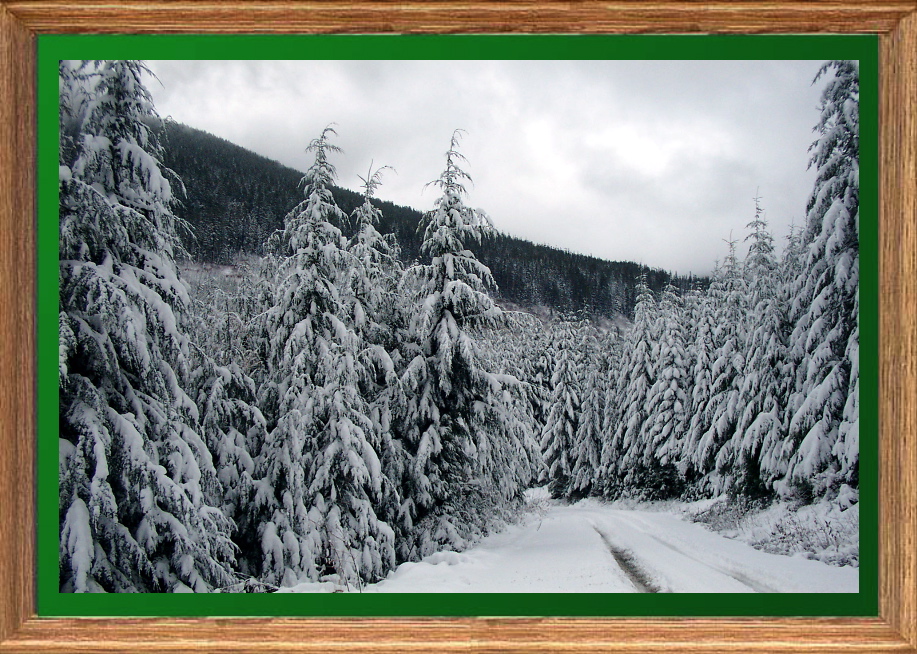 Cascade snow