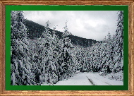 Cascade snow