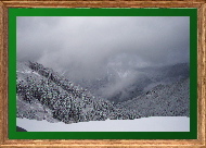 Cascades near Snoqualmie Pass