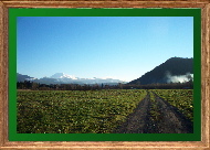 Mt. Rainier from King County Fairgrounds parking lot