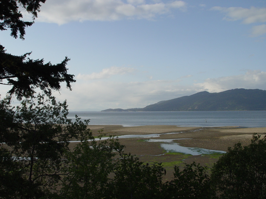 low tide