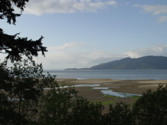 low tide