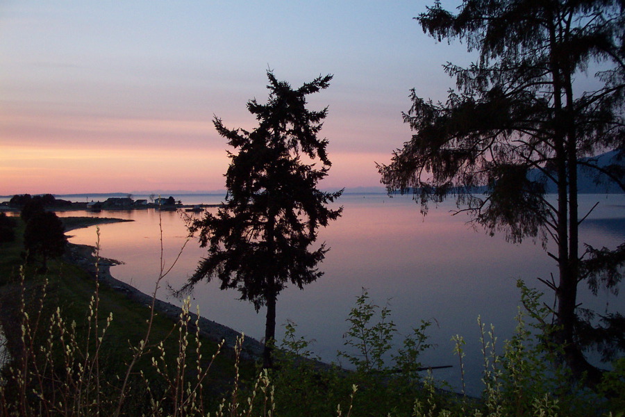 Sammish Bay at Sunset