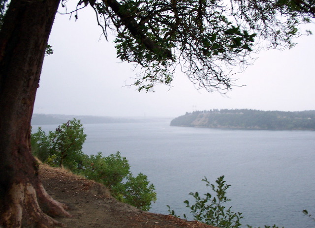 A Rainy Tacoma Narrows