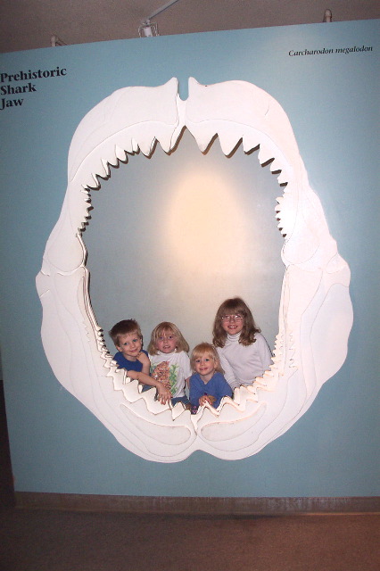 Toothy Grins