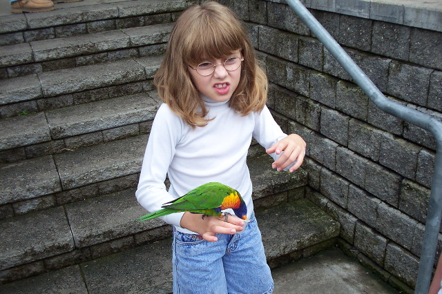Holly Feeds a Lorikeet