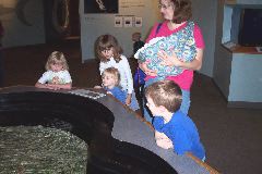 Baby Stingray Tank