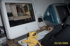 DCP_0006
