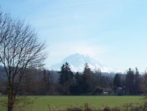 Mt. Rainier - 2/24/02