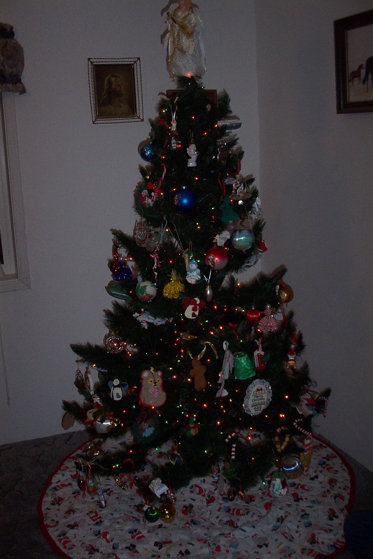 Ready for presents