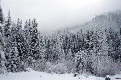 Snoqualmie Pass